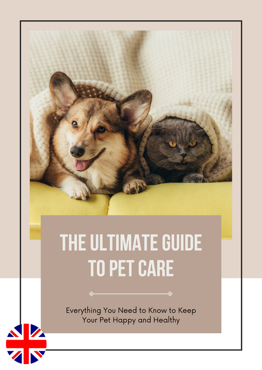 Le guide ultime pour prendre soin de votre animal